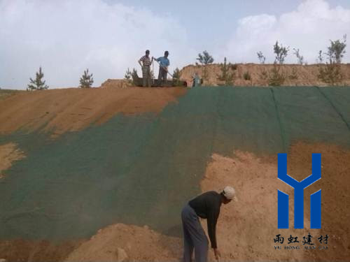 三維植被網(wǎng)http://www.napyz.cn/